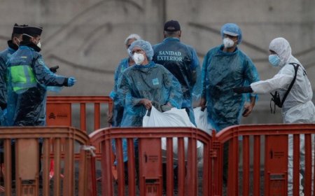 US Passenger Tests Positive For Hantavirus After Evacuation From Cruise Ship (Latest Updates)