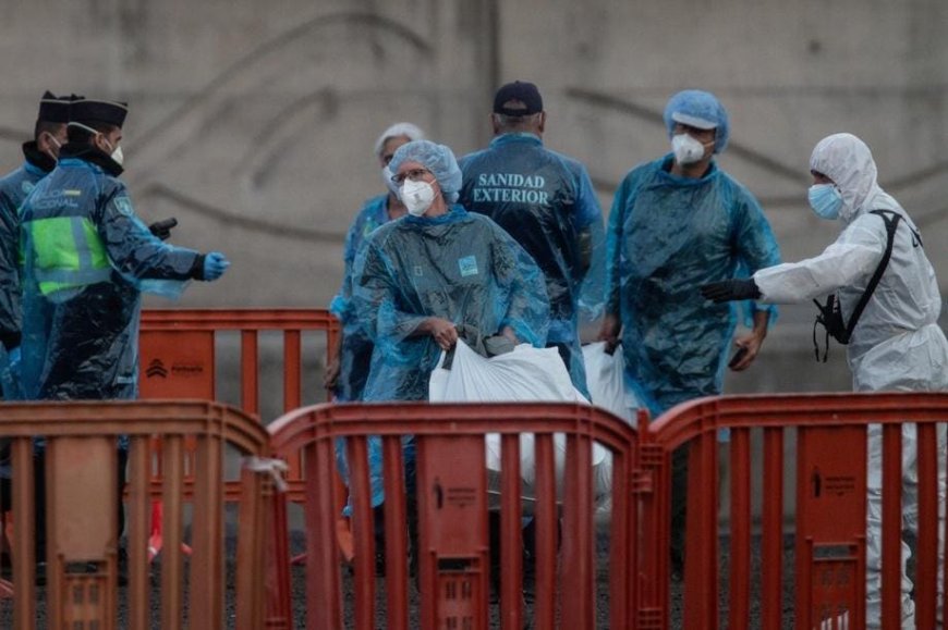 US Passenger Tests Positive For Hantavirus After Evacuation From Cruise Ship (Latest Updates)